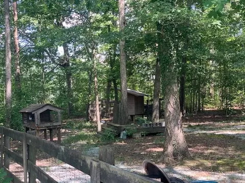 10611 Hampton Rd, Rougemont, NC 27572 photo 26