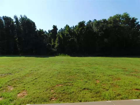 121 Caleb Acres Ln, Smithfield, NC 27577 photo 22