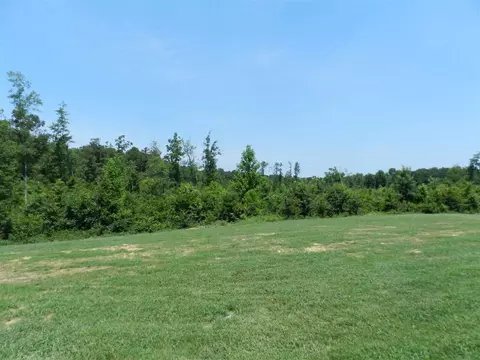 220 Cornfield Ln, Benson, NC 27504 photo 11
