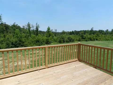 220 Cornfield Ln, Benson, NC 27504 photo 10