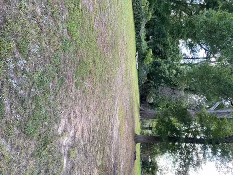 1117 Sedgefield St, Durham, NC 27705 photo 3