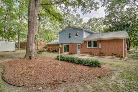 313 Cheryl Ave, Durham, NC 27712 photo 23