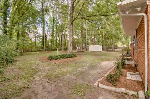 313 Cheryl Ave, Durham, NC 27712 photo 22