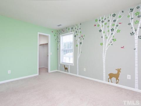 10 Drye Ln, Durham, NC 27713 photo 19