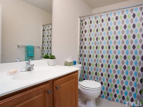 10 Drye Ln, Durham, NC 27713 photo 21
