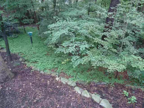 11 Cobbleridge Ct, Durham, NC 27713 photo 29