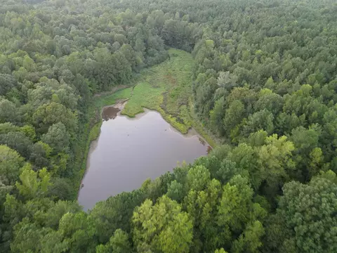 436 Barnes Rd, Middlesex, NC 27557 photo 28