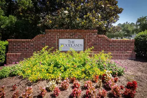 221 Intern Way, Durham, NC 27713 photo 29