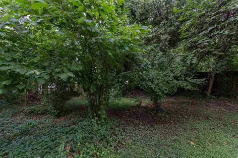 1910 James St, Durham, NC 27707 photo 30