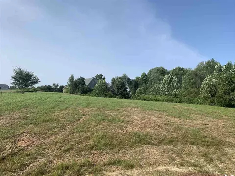 163 Cornfield Ln, Benson, NC 27504 photo 19