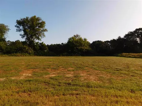 220 Mill Stream Dr, Selma, NC 27576 photo 21