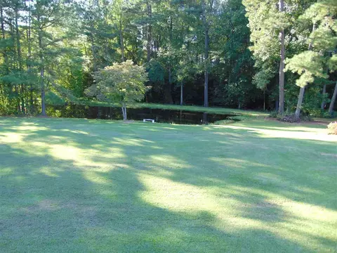 1598 Mount Pleasant Rd, Willow Spring, NC 27592 photo 19