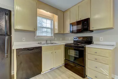 116 White Falls Cir, Benson, NC 27504 photo 11
