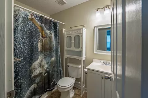 105 Buck Pl, Willow Spring, NC 27592 photo 13