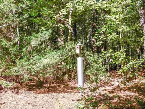103 Downing Pl, Apex, NC 27502 photo 30
