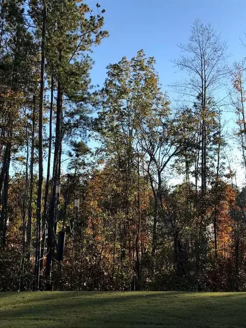 292 Fieldspar Ln, Clayton, NC 27520 photo 13