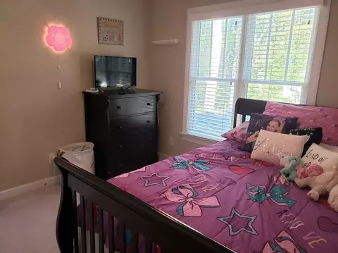 304 Pine Nut Ln, Apex, NC 27502 photo 10