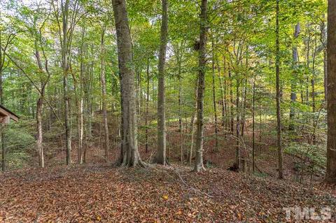 7209 Philly Ct, Wake Forest, NC 27587 photo 28