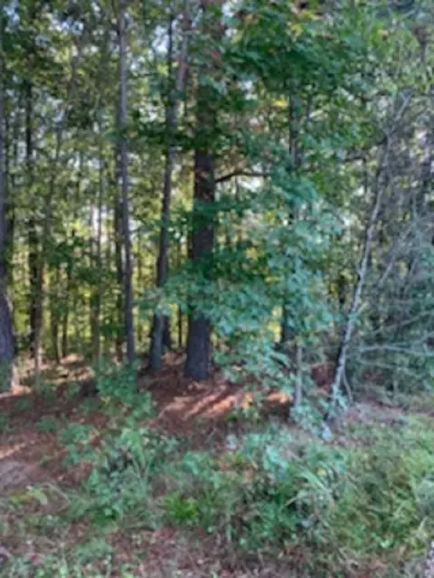 920 Garner Rd, Selma, NC 27576 photo 3