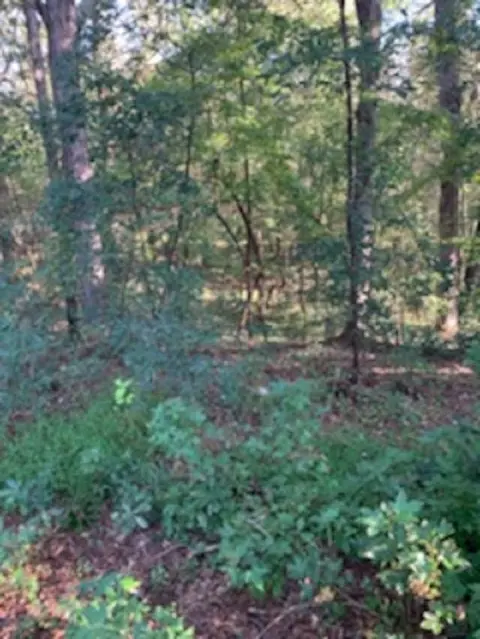 920 Garner Rd, Selma, NC 27576 photo 4