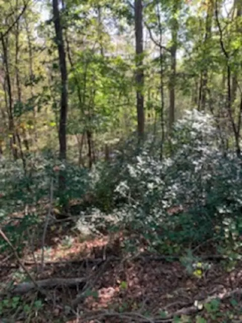 920 Garner Rd, Selma, NC 27576 photo 5