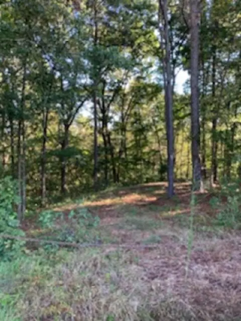 920 Garner Rd, Selma, NC 27576 photo 1