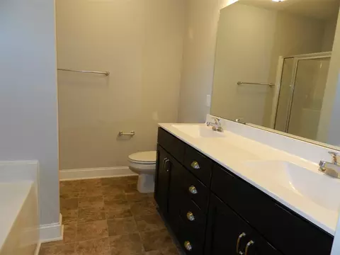 249 Hunter Fox Trl, Angier, NC 27501 photo 12