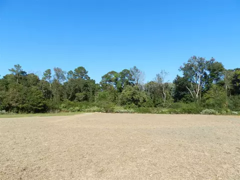 249 Hunter Fox Trl, Angier, NC 27501 photo 15