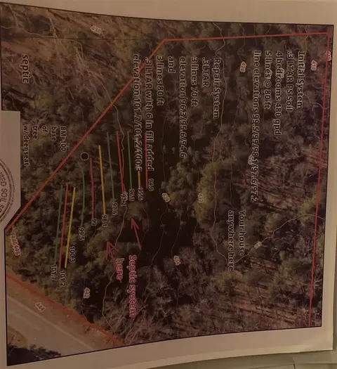 16205 New Light Rd, Wake Forest, NC 27587 photo 2