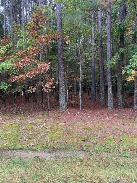 6129 Sibling Pines Dr, Durham, NC 27705 photo 1