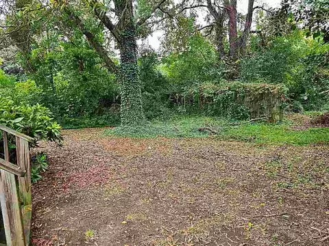 3709 Lee Rd, Raleigh, NC 27604 photo 7