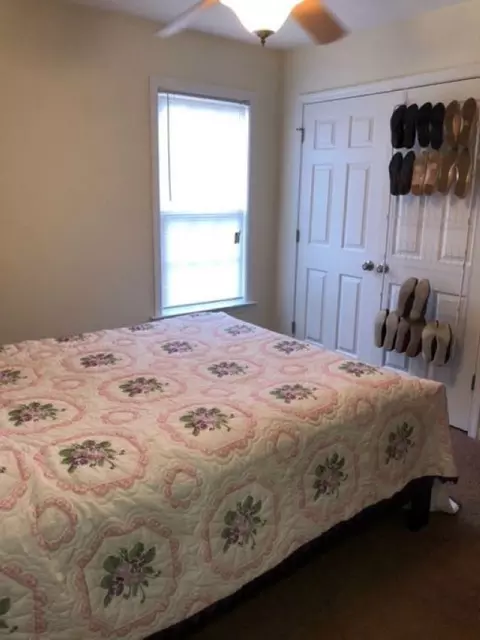297 Opal Ln, Clayton, NC 27520 photo 9