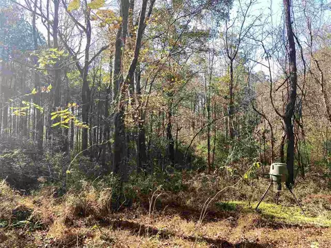 1097 Grace Rd, Benson, NC 27504 photo 28