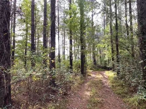 1097 Grace Rd, Benson, NC 27504 photo 4