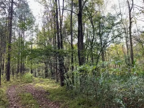 1097 Grace Rd, Benson, NC 27504 photo 3