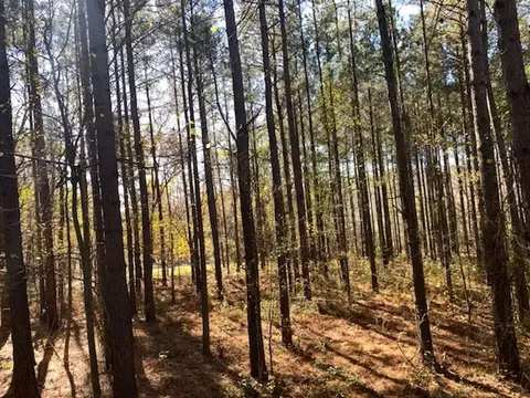 1097 Grace Rd, Benson, NC 27504 photo 25
