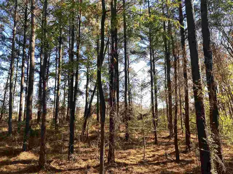 1097 Grace Rd, Benson, NC 27504 photo 26
