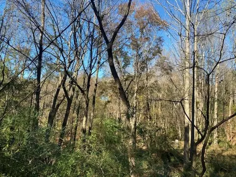1097 Grace Rd, Benson, NC 27504 photo 24