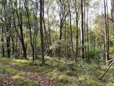 1097 Grace Rd, Benson, NC 27504 photo 6