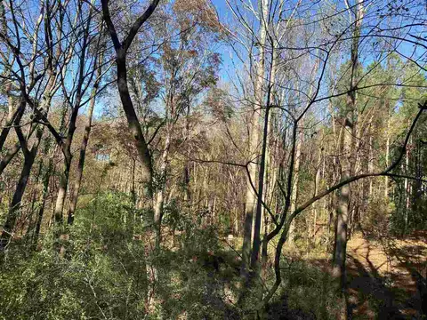 1097 Grace Rd, Benson, NC 27504 photo 27