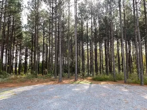 1097 Grace Rd, Benson, NC 27504 photo 1