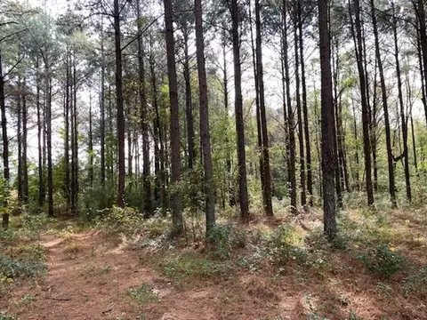 1097 Grace Rd, Benson, NC 27504 photo 2