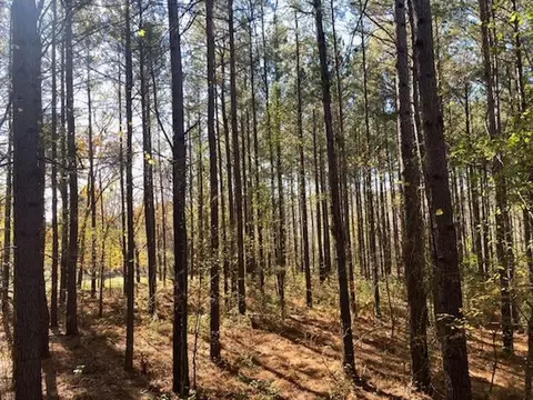 1097 Grace Rd, Benson, NC 27504 photo 23