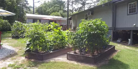 2802 Dublin St, Durham, NC 27704 photo 11