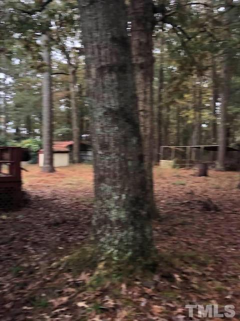 399 E Gordon Rd, Selma, NC 27576 photo 8