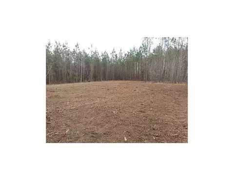 444 Arthur Wilder Rd, Spring Hope, NC 27882 photo 4