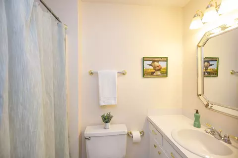 5804 Prioress Dr, Durham, NC 27712 photo 16
