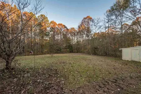 52 E Silver Belle Dr, Zebulon, NC 27597 photo 19