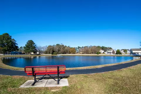 151 Blessed Ln, Angier, NC 27501 photo 29