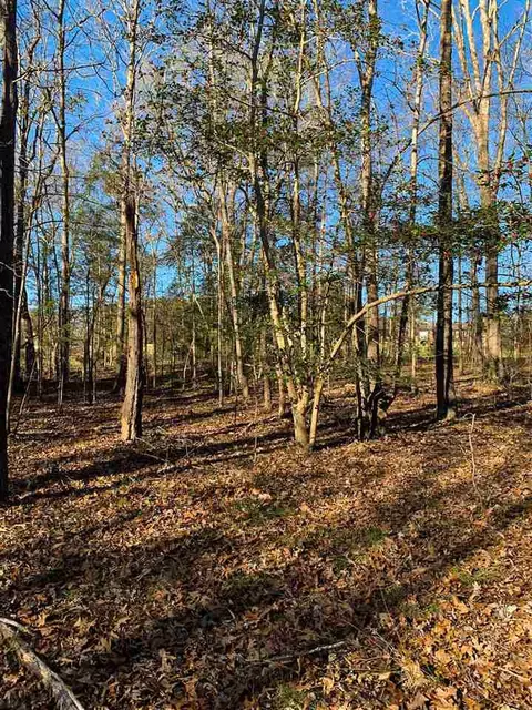 5600 Dude Ranch Rd, Durham, NC 27704 photo 4